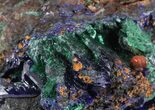 Sparkling Azurite Crystal Cluster with Malachite - Laos #56066-2